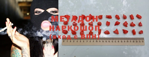 индика Беломорск