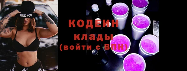 мдпв Богданович
