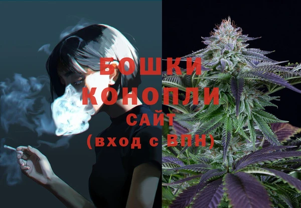 мдпв Богданович