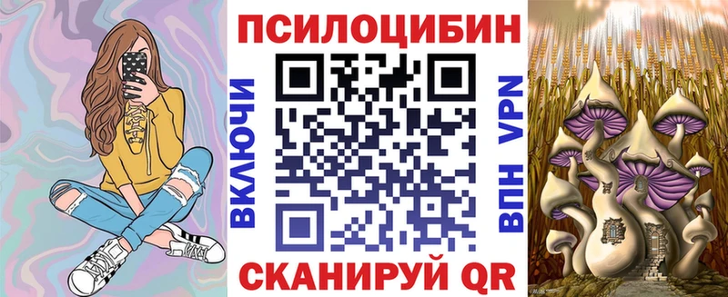 Псилоцибиновые грибы Cubensis  дарнет шоп  Кедровый 