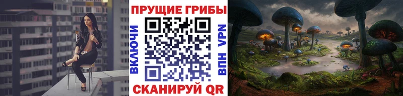 Галлюциногенные грибы прущие грибы Кедровый