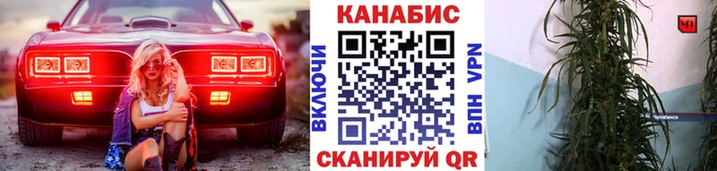 Шишки марихуана план  omg ТОР  это официальный сайт  Кедровый 